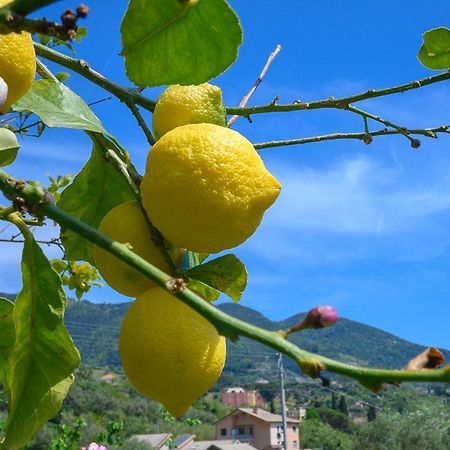 Casa Limoni Villa Monterosso al Mare Eksteriør bilde