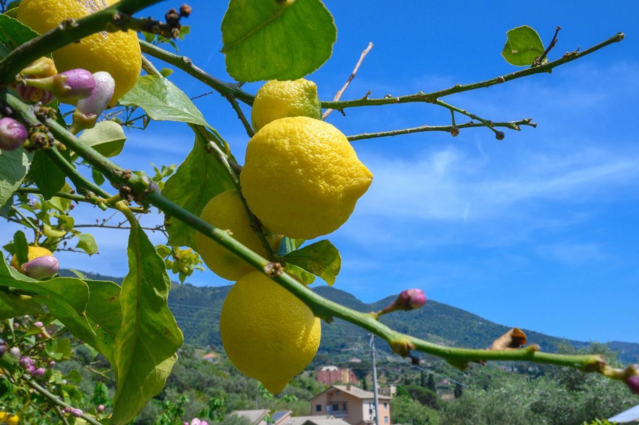 Casa Limoni Villa Monterosso al Mare Eksteriør bilde